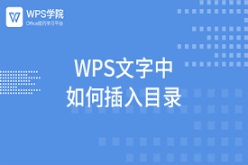 WPS-26